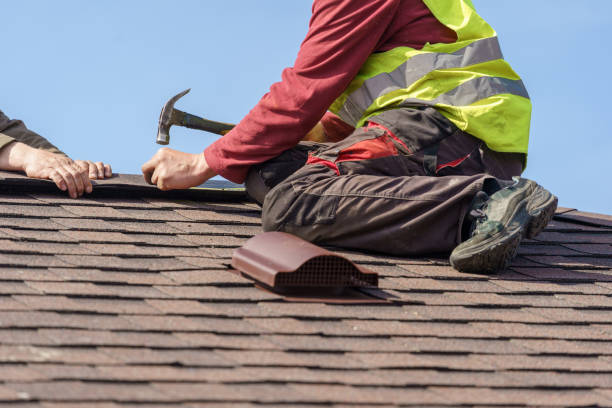 Best Roof Repair Services  in Punaluu, HI