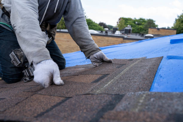 Best Shingle Roofing Installation  in Punaluu, HI