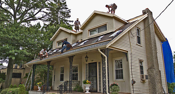 Best Roof Maintenance Services  in Punaluu, HI